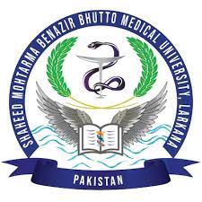 Shaheed Mohtarma Benazir Bhutto Medical College Merit List 2023