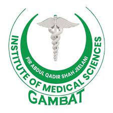 Gambat Medical College Merit List 2023 MBBS BDS 1st 2nd 3rd